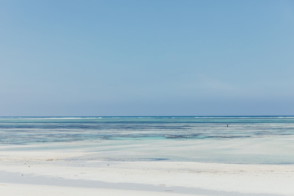 LUX Marijani Zanzibar — Beach in Pwani Mchangani, Zanzibar North