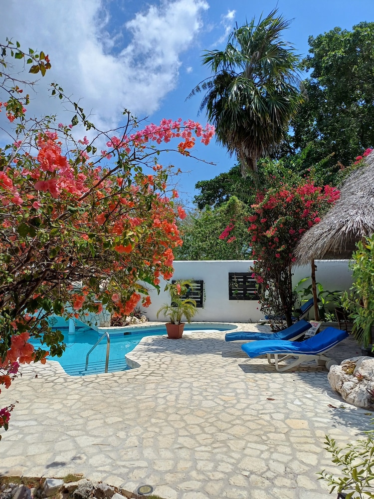 LTU Garden — Swimming pool in Negril