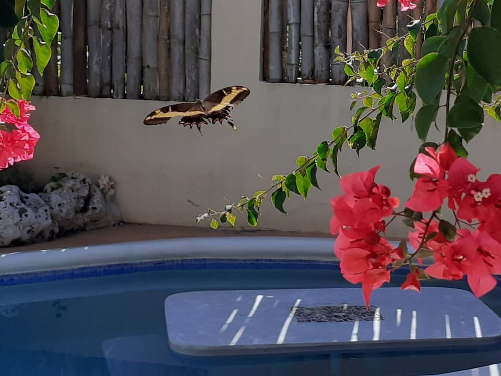 LTU Garden — Swimming pool in Negril