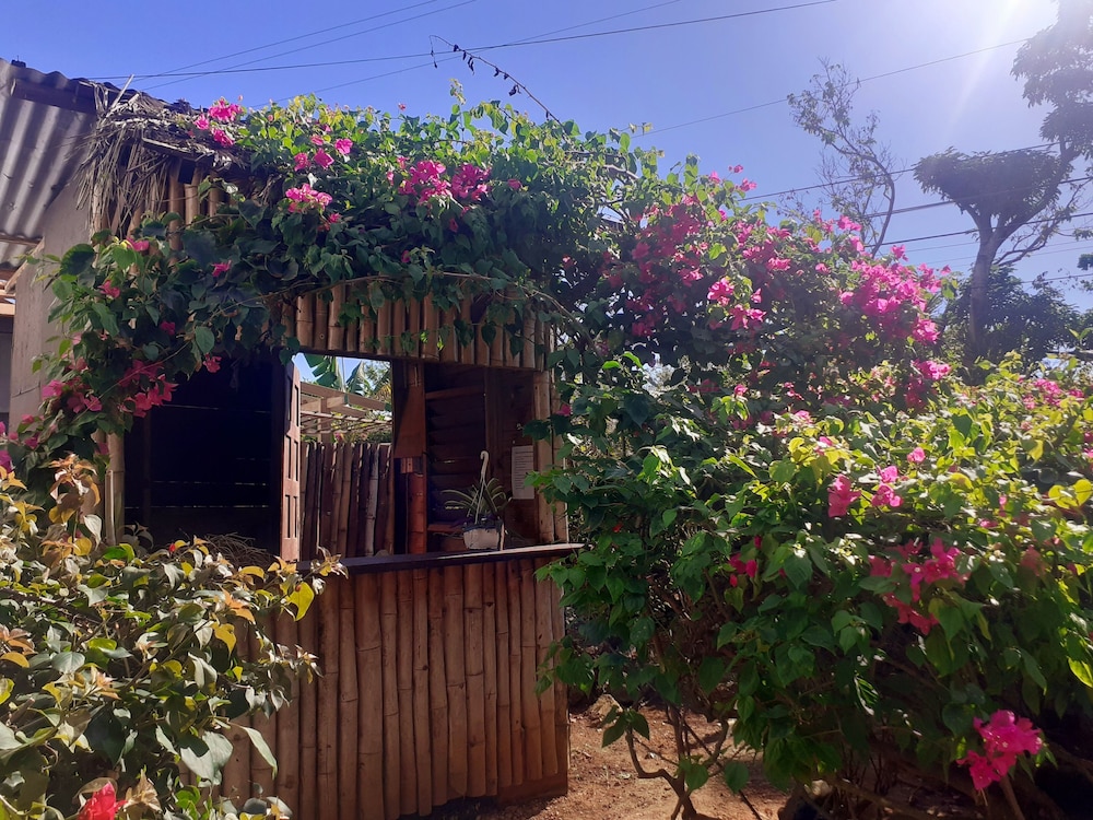 LTU Garden — Restaurant & bars in Negril