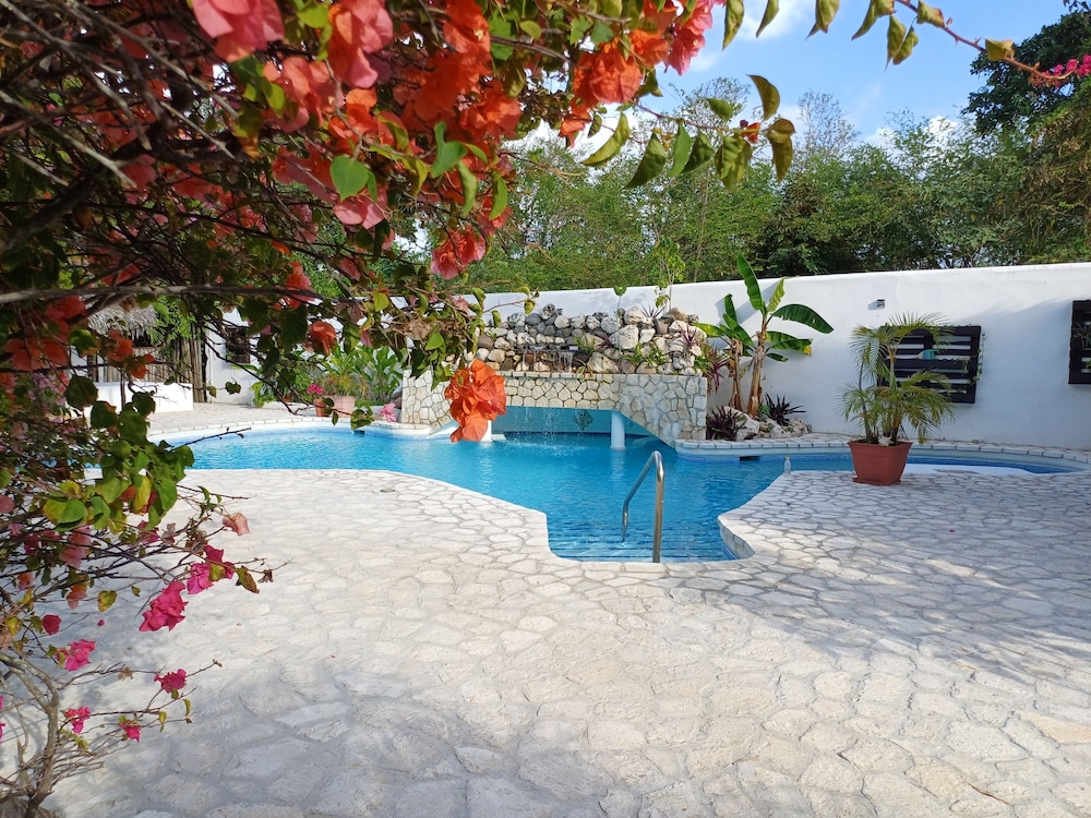 LTU Garden — Swimming pool in Negril
