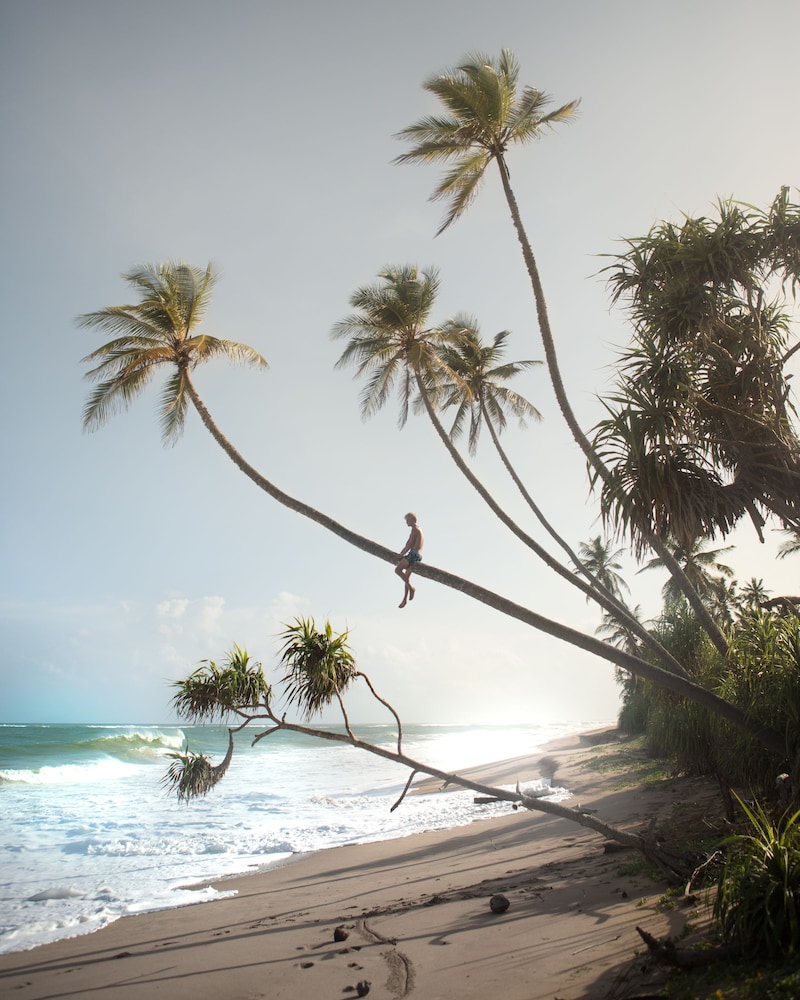 Weligama Bay Marriott Resort & Spa — Beach in Weligama
