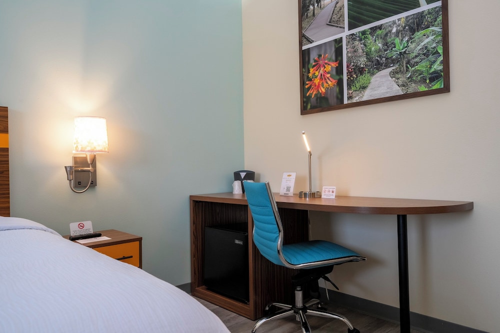 SPOT X Hotel Orlando/Intl Dr by The Red Collection — Hotel rooms in Orlando, Florida