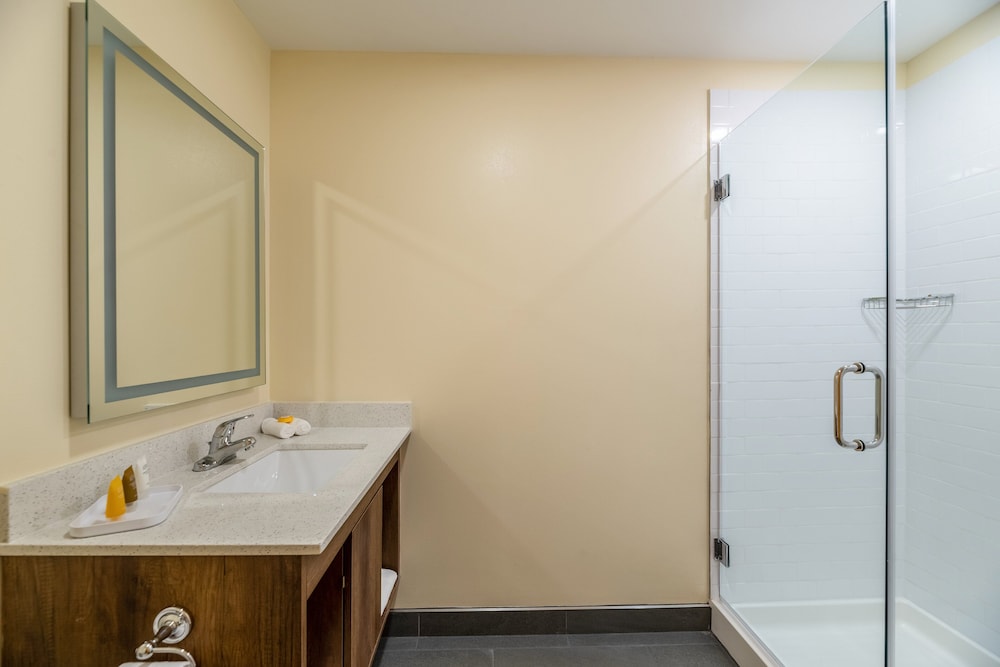 SPOT X Hotel Orlando/Intl Dr by The Red Collection — Hotel rooms in Orlando, Florida
