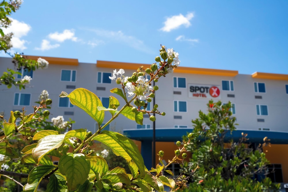 SPOT X Hotel Orlando/Intl Dr by The Red Collection — Hotel building in Orlando, Florida