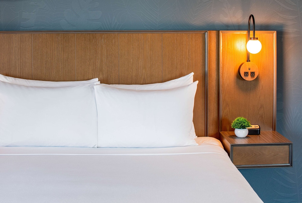 Hyatt Place Tampa Downtown — Hotel rooms in Tampa, Florida
