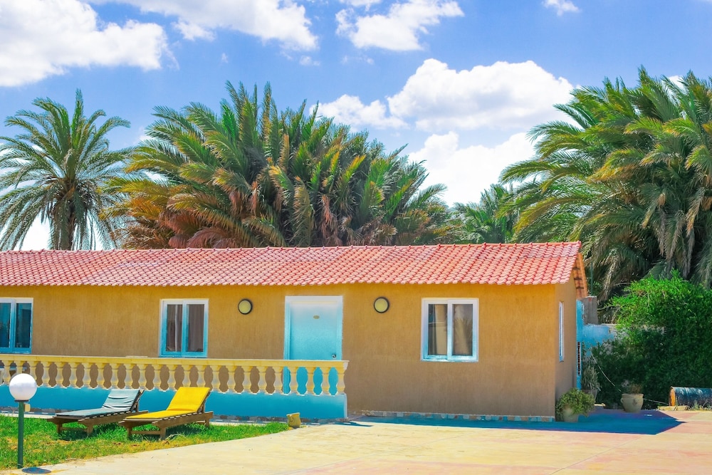 Hotel Neptunia Skanes — Hotel building in Skanes inc. Monastir, Monastir
