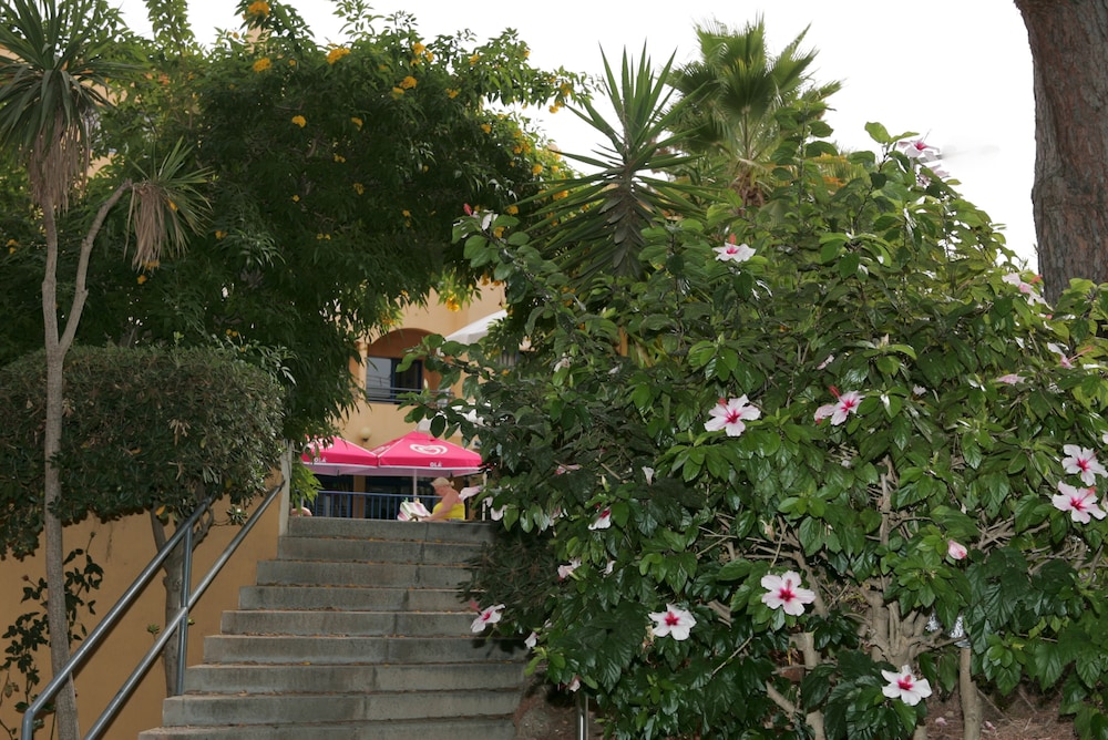 Rio Apartments — Restaurant & bars in Vilamoura, Faro