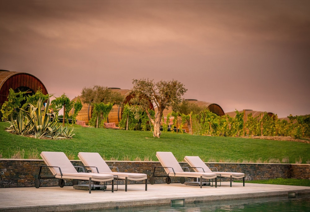 The Wine House Hotel - Quinta da Pacheca - zdjęcie 3