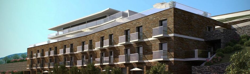 Delfim Douro Hotel - zdjęcie 4