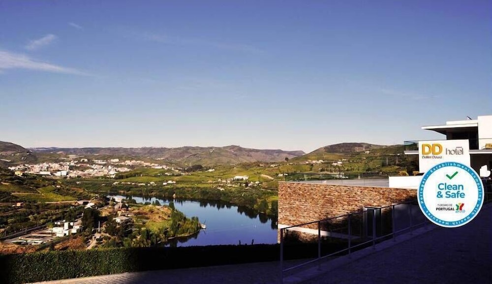 Delfim Douro Hotel - zdjęcie 5
