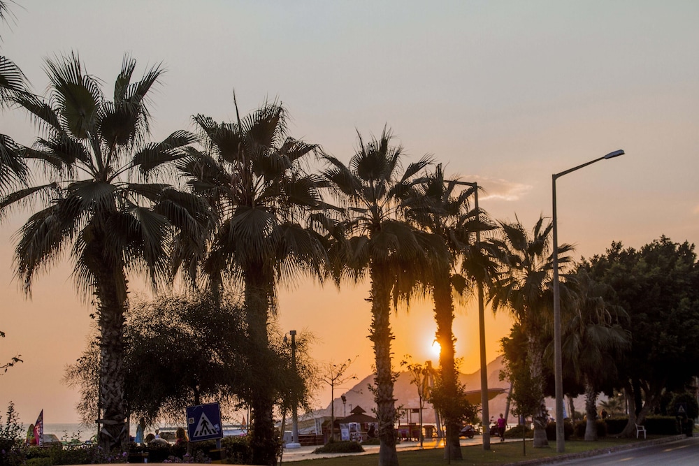 Kleopatra Ada Beach Hotel — Beach in Alanya