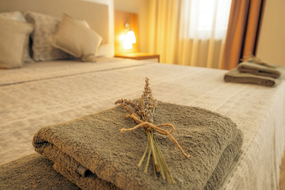 Novis Hotel Cleopatra — Hotel rooms in Alanya