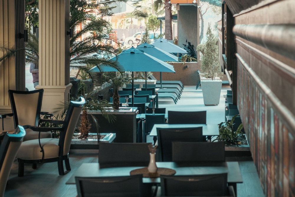 Novis Hotel Cleopatra — Restaurant & bars in Alanya