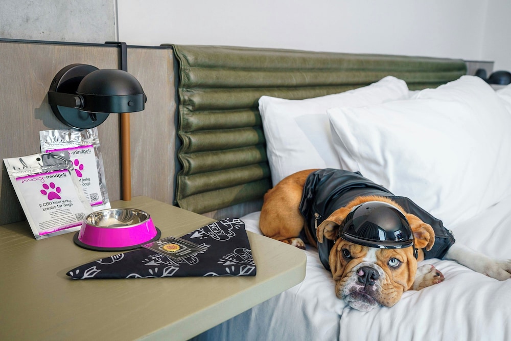 Moxy Downtown Los Angeles — Hotel rooms in Los Angeles, California