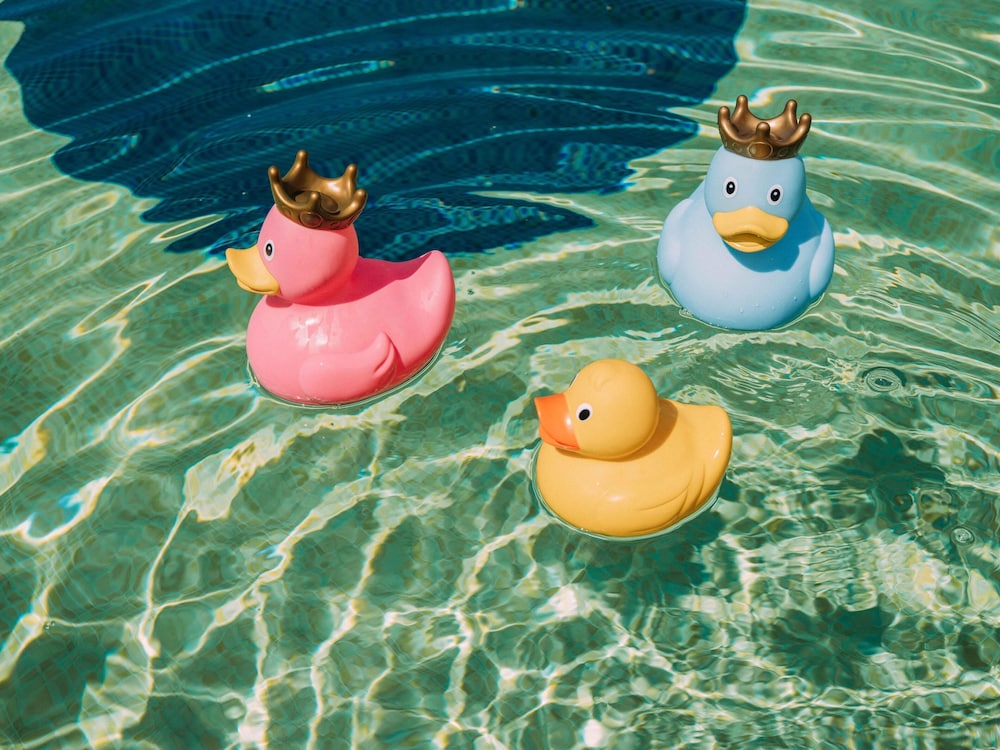 NEXT - Savoy Signature — Attractions for children in Funchal, Madeira