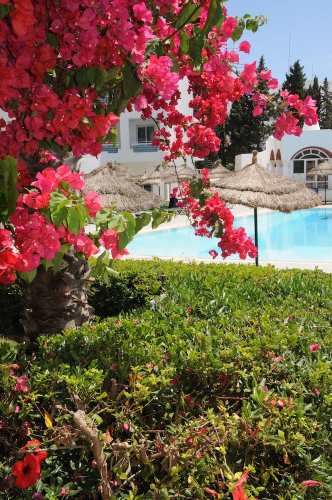 Hotel Menara — View in Hammamet, Nabeul