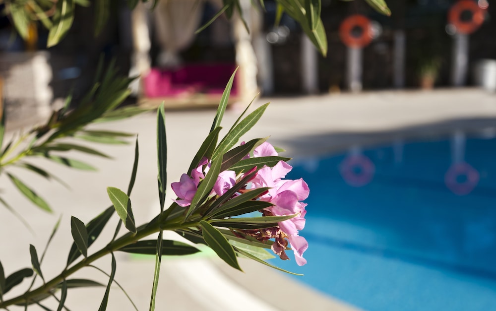 Gokcen Hotel & Apartments — Swimming pool in Fethiye, Mugla