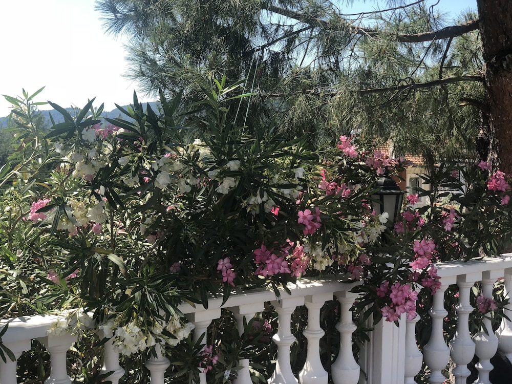 Hotel Leytur — Hotel building in Fethiye, Mugla