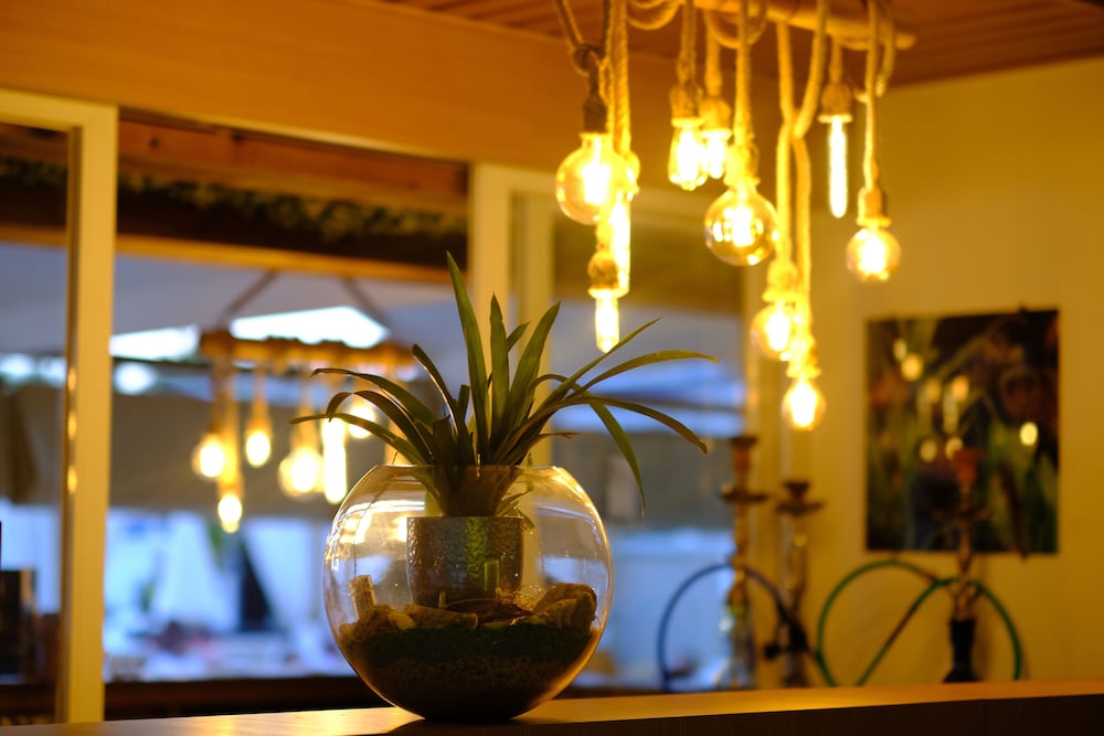 Bora Bora Butik Hotel — Restaurant & bars in Alanya