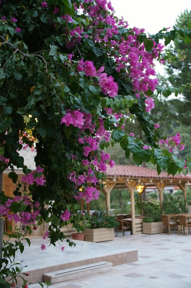 Petunya Konak - Boutique Class — Restaurant & bars in İçmeler, Mugla