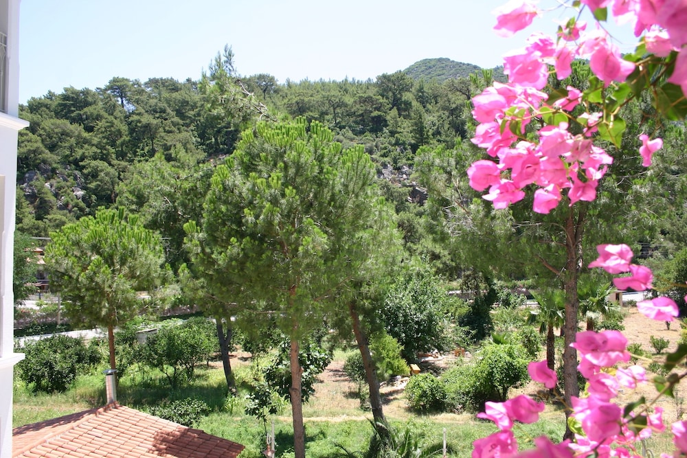 Petunya Konak - Boutique Class — Attractions in the area in İçmeler, Mugla