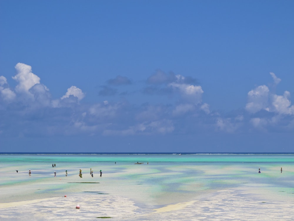 Dhow Inn Boutique Hotel — Beach in Paje, Zanzibar South