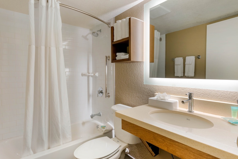 Staybridge Suites Orlando Royale Parc Suites by IHG — Hotel rooms in Kissimmee, Florida