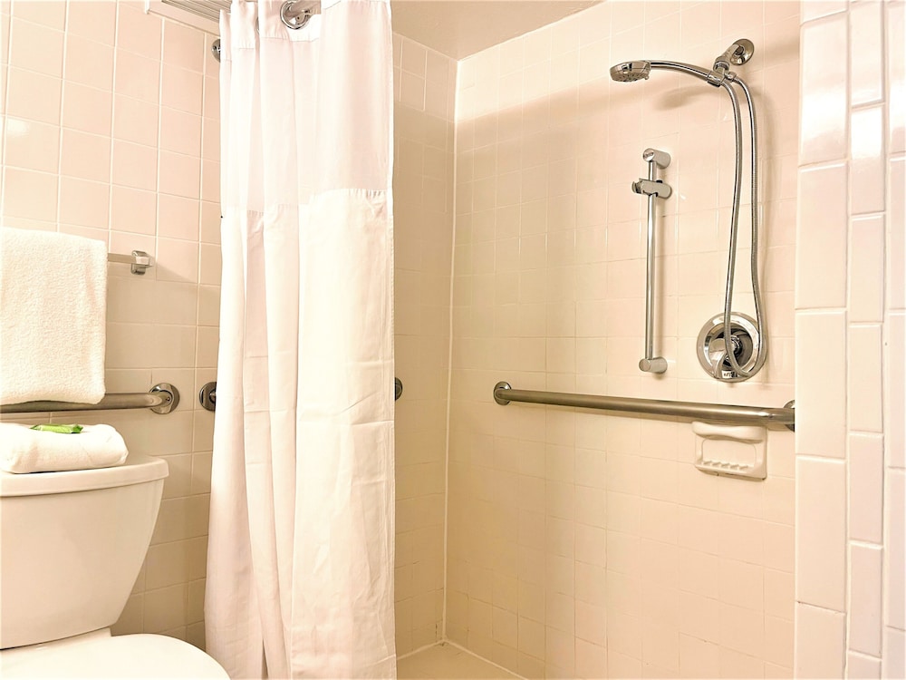 Wyndham Lake Buena Vista – Disney Springs® Area — Hotel rooms in Lake Buena Vista, Florida
