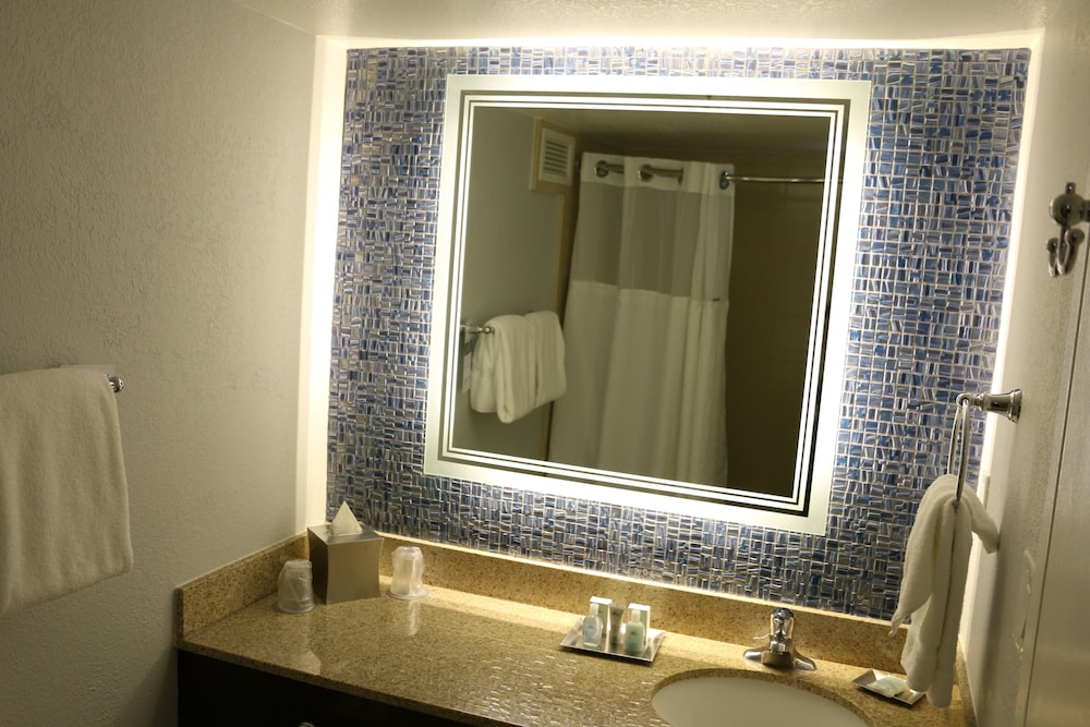 Wyndham Lake Buena Vista – Disney Springs® Area — Hotel rooms in Lake Buena Vista, Florida