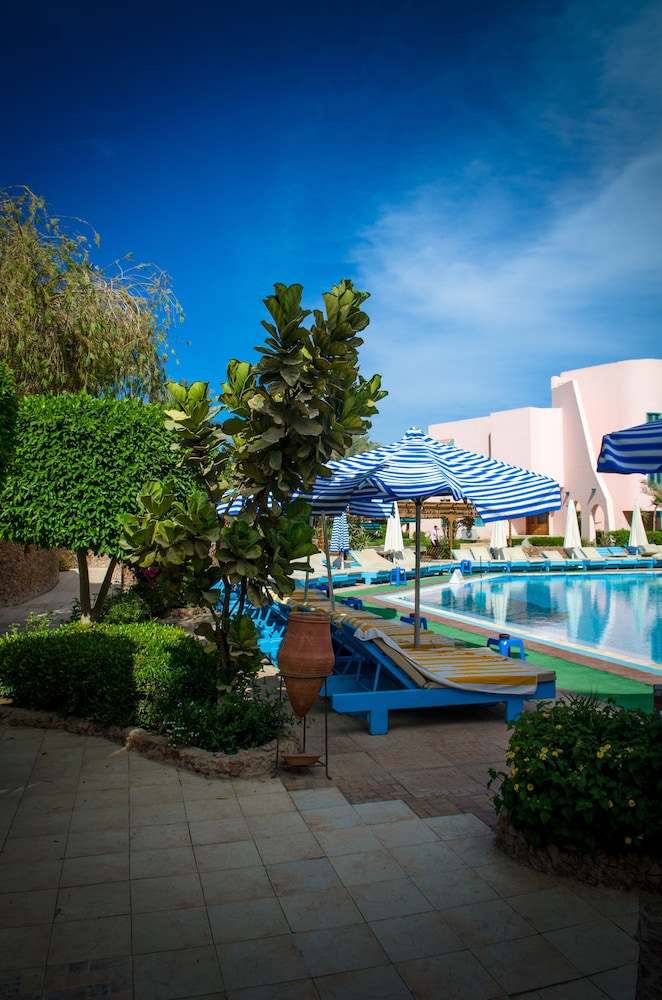 Zahabia Resort & Hotel — Pool in Hurghada, Red Sea