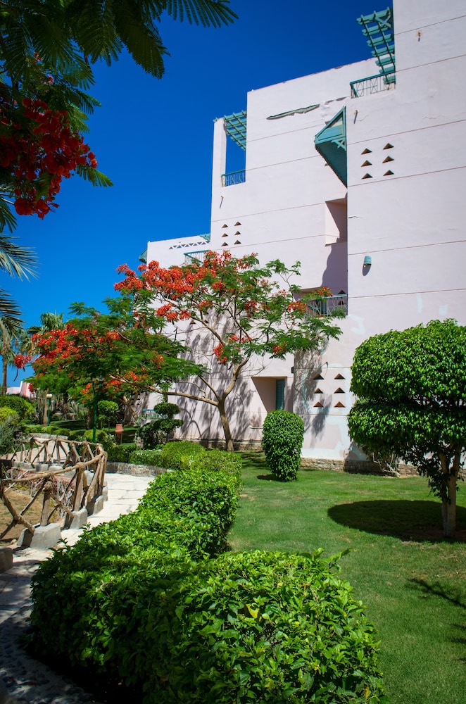 Zahabia Resort & Hotel — Outdoor in Hurghada, Red Sea