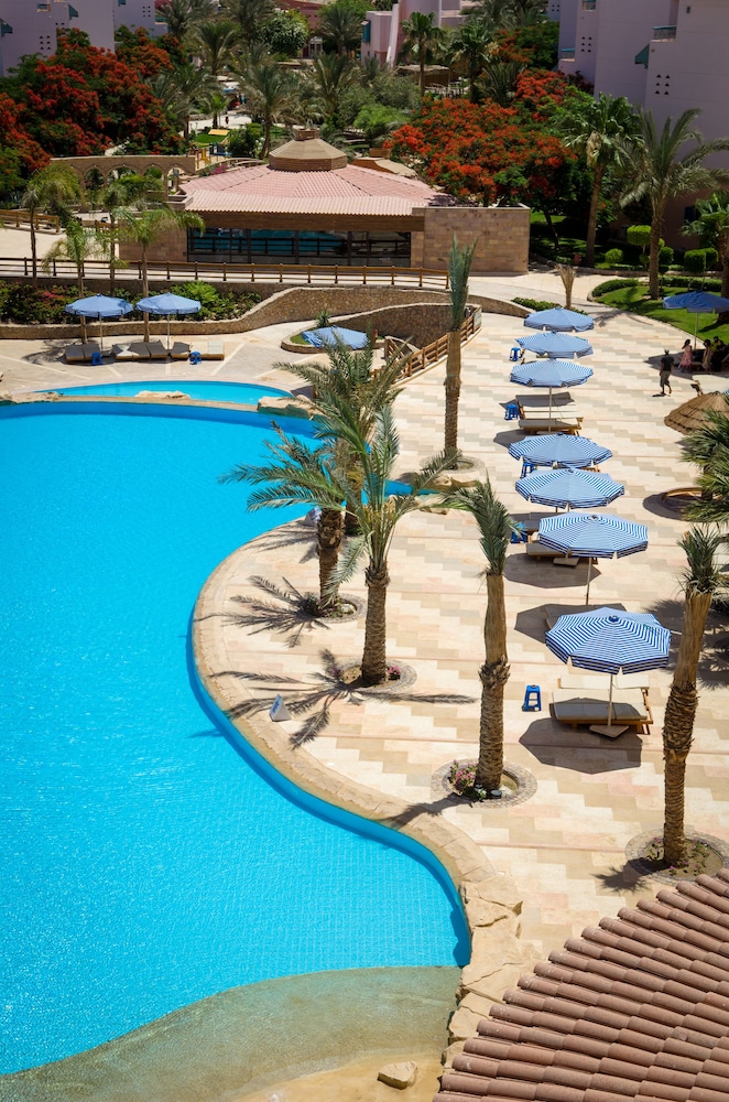 Zahabia Resort & Hotel — Pool in Hurghada, Red Sea