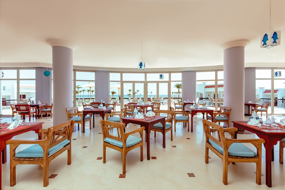 SUNRISE Alma Bay Resort — Restaurant & bars in Hurghada, Red Sea