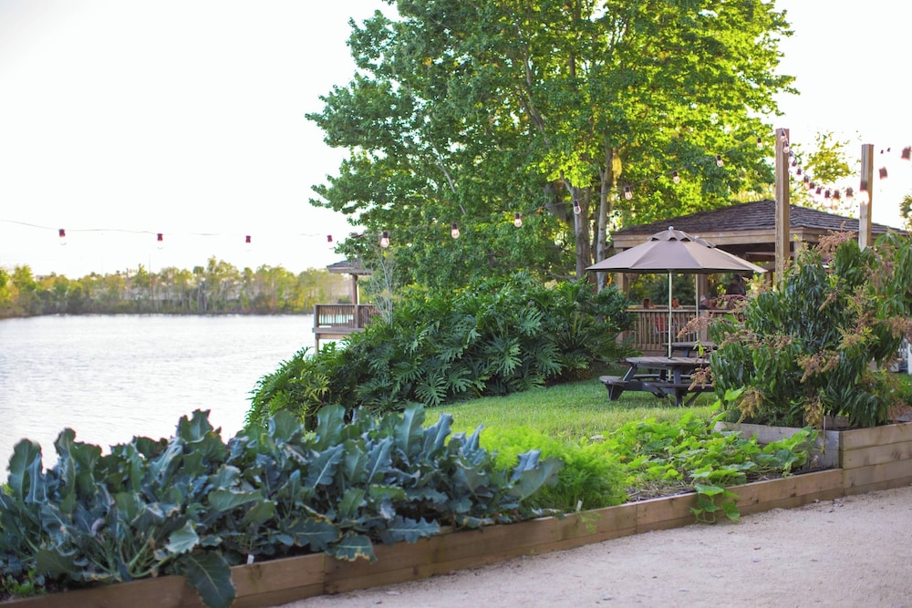 Marriott Orlando Airport Lakeside — Restaurant & bars in Orlando, Florida