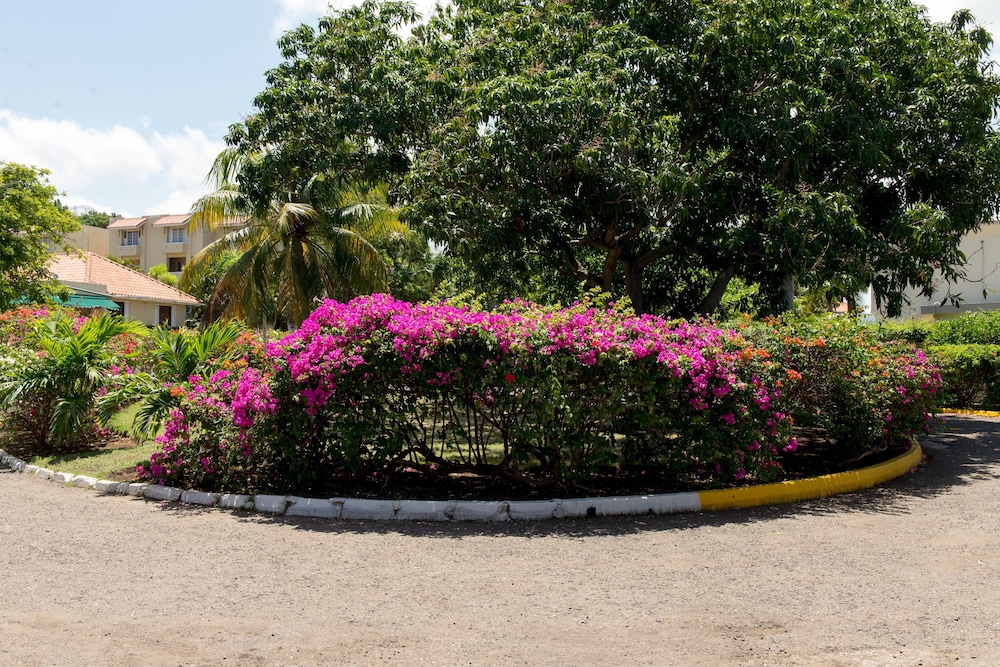 Sea Shell Beach Studio At Montego Bay Club Resort — Hotel building in Montego Bay