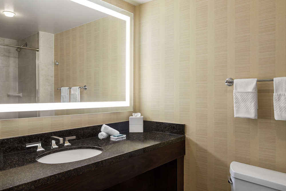 Hilton Tampa Downtown — Hotel rooms in Tampa, Florida