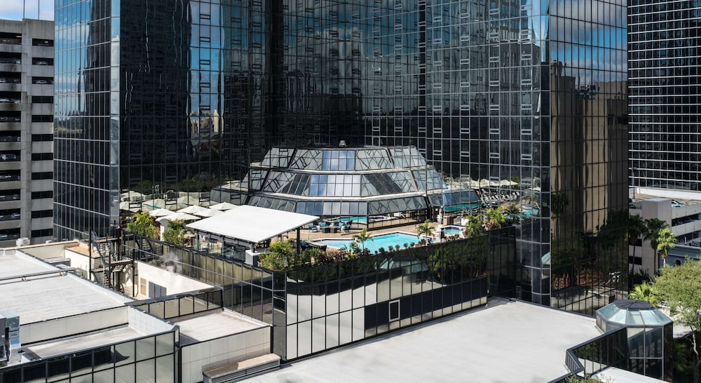 Hilton Tampa Downtown — Swimming pool in Tampa, Florida