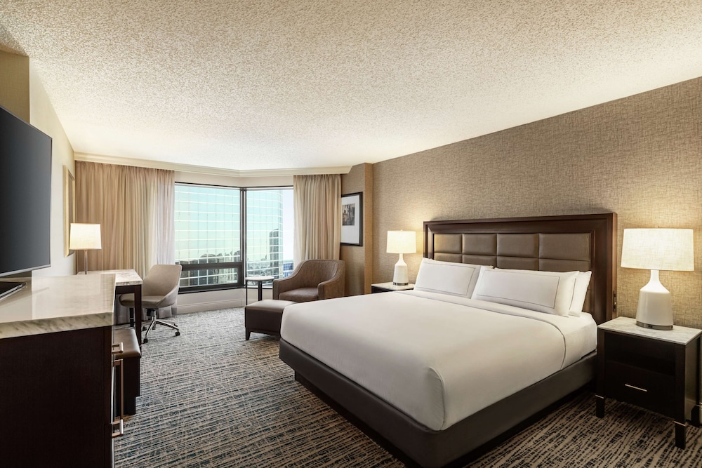 Hilton Tampa Downtown — Hotel rooms in Tampa, Florida