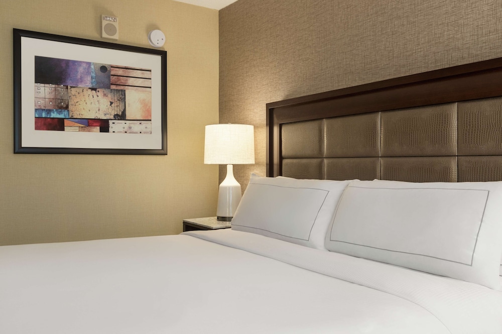 Hilton Tampa Downtown — Hotel rooms in Tampa, Florida
