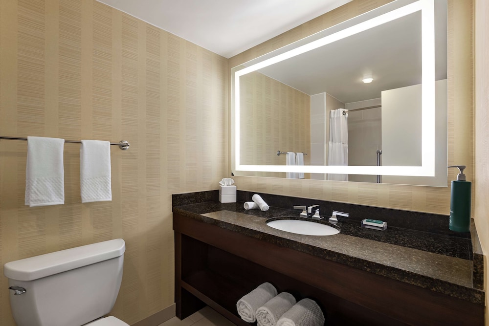 Hilton Tampa Downtown — Hotel rooms in Tampa, Florida