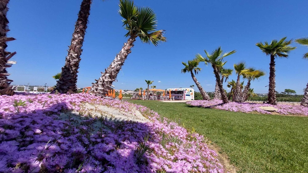 Regency Salgados Hotel & Spa — Restaurant & bars in Albufeira, Faro
