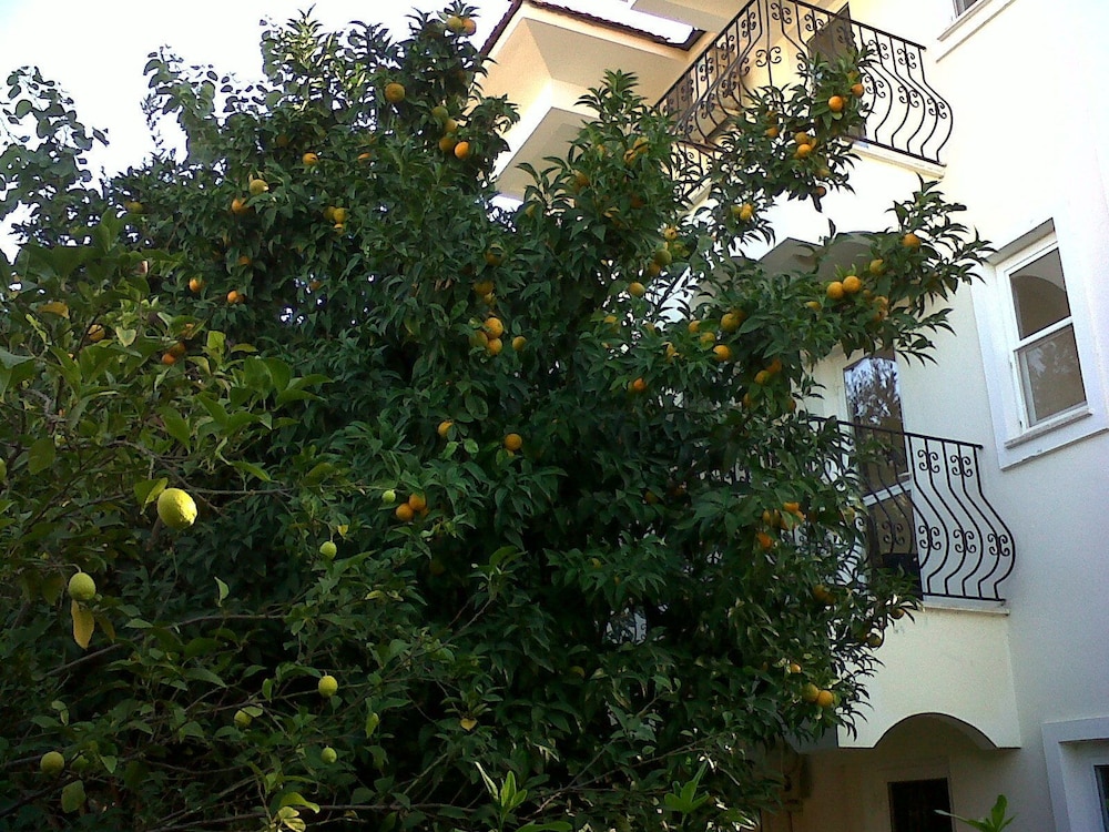Ant Apart Hotel — Hotel building in Fethiye, Mugla