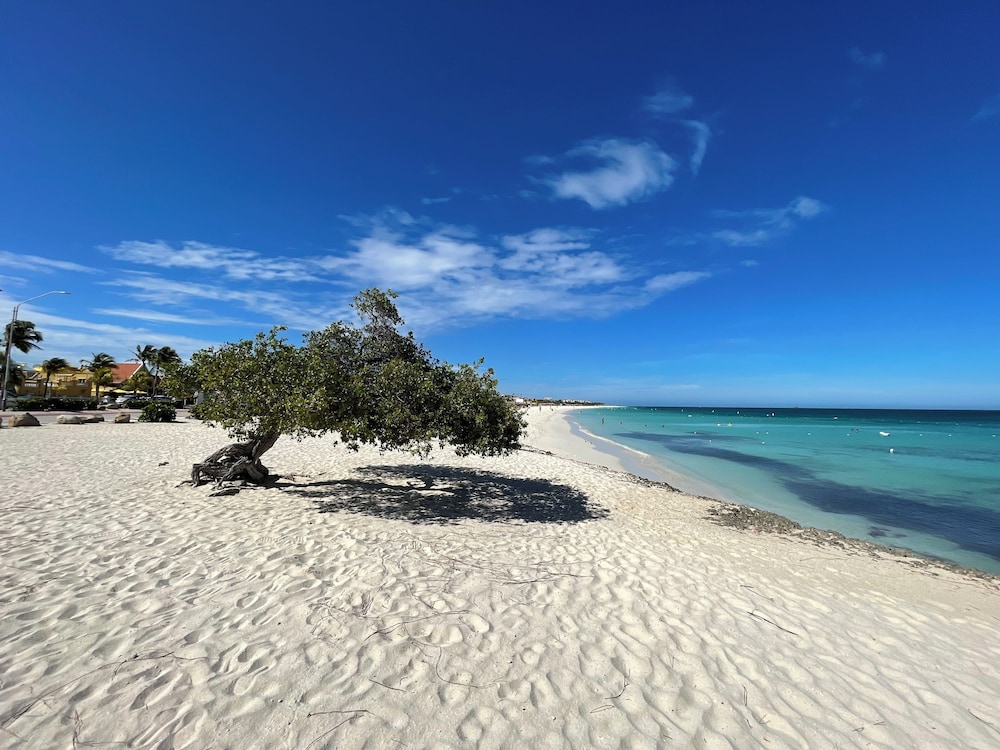 Swiss Paradise Aruba — Beach in Noord, Aruba