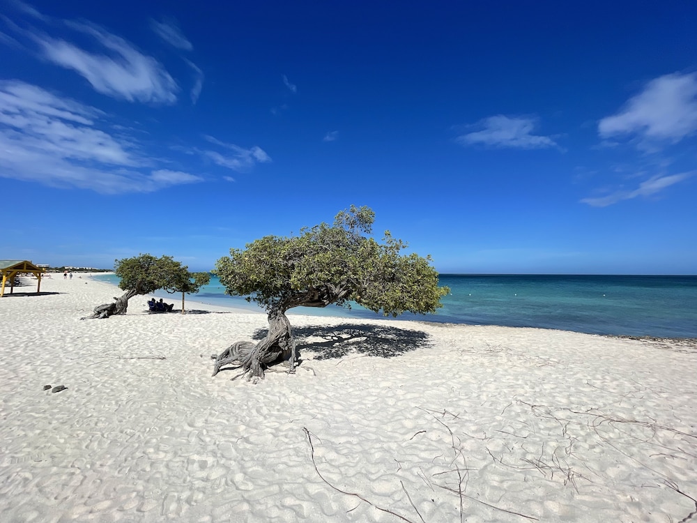 Swiss Paradise Aruba — Beach in Noord, Aruba