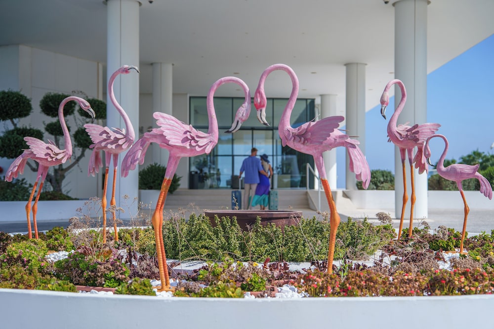 Flamingo Paradise Beach Hotel Adults Only — Hotel building in Protaras, Famagusta Region