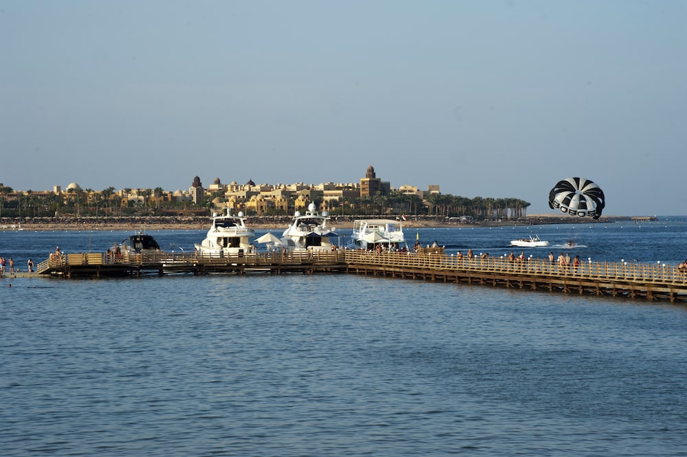 Cleopatra Luxury Resort Makadi Bay — Attractions in the area in Makadi Bay, Red Sea