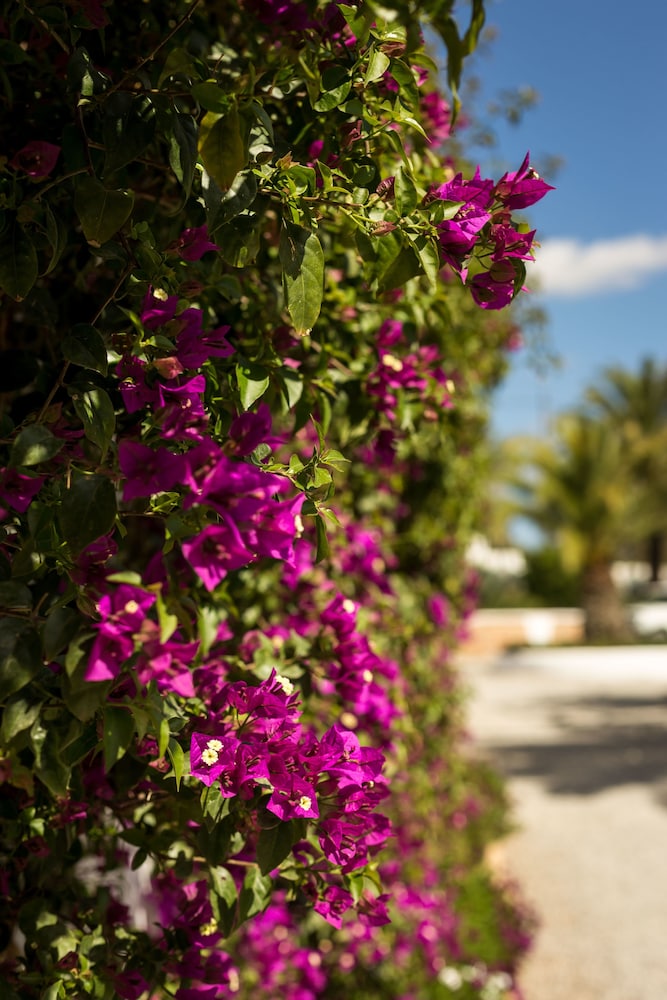 Boutique Hotel Ibizazen — Hotel building in Santa Eulalia, Balearic Islands