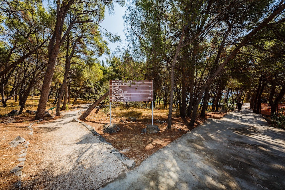 Hotel Medena — Attractions in the area in Seget Donji, Split-Dalmatia