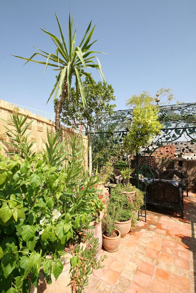 Riad Africa — Hotel building in Marrakech, Marrakech-Tensift-Al Haouz